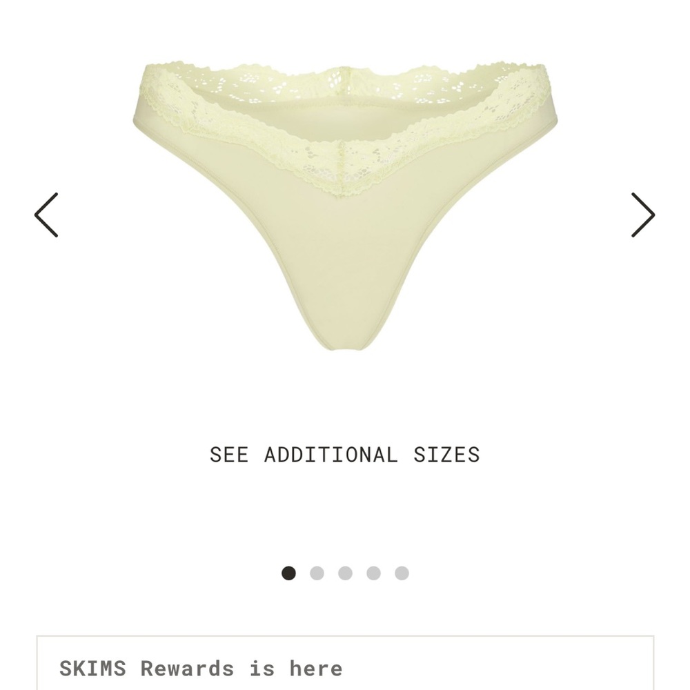 SKIMS Limited Edition Sage: Fits Everybody Lace Dipped Thong